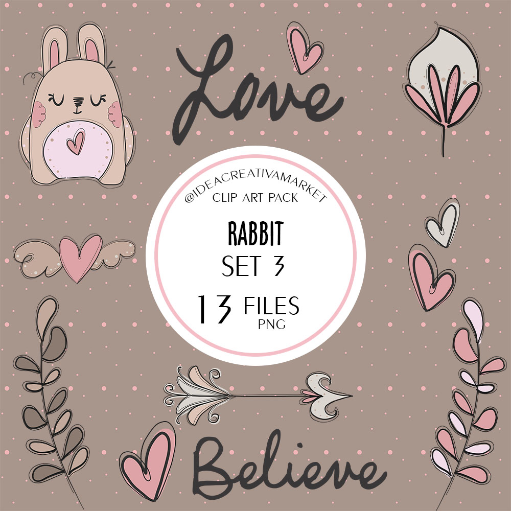 Presentación rabbit set 3