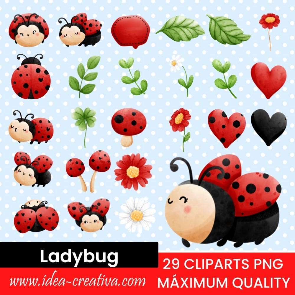 Ladybug (1)